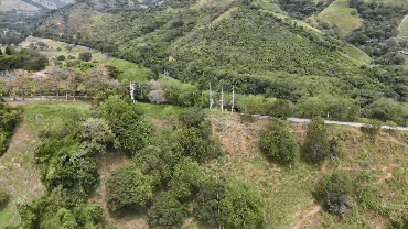 VID-20241101-WA0013 (1)